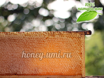 Сотовый мёд